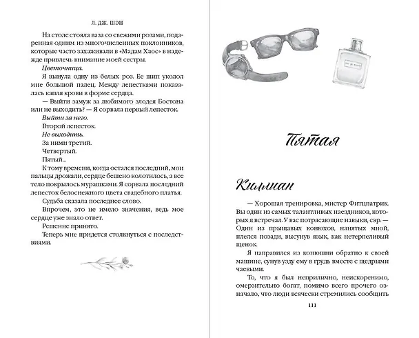 Книга Красавицы Бостона. Злодей (#2) (Л.Дж. Шэн) — 11