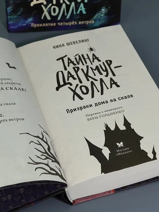 Книга Тайна Даркмур-Холла. Призраки дома на скале (Нина Шевелинг) — 11