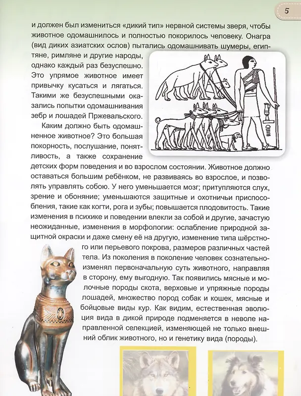 Книга Животные от диких к домашним (Василий Климов) — 5