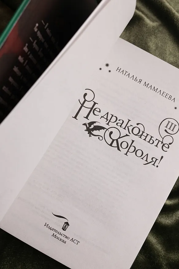 Книга Не драконьте короля! Книга третья (Наталья Мамлеева) — 12