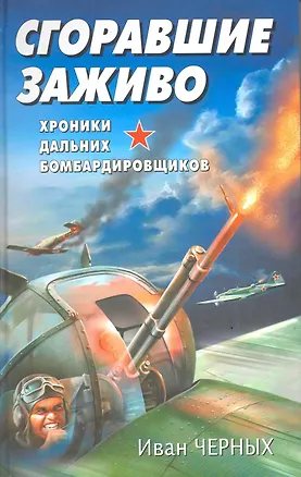 Книга Сгоравшие заживо .Хроники дальних бомбардировок (Иван Черных)