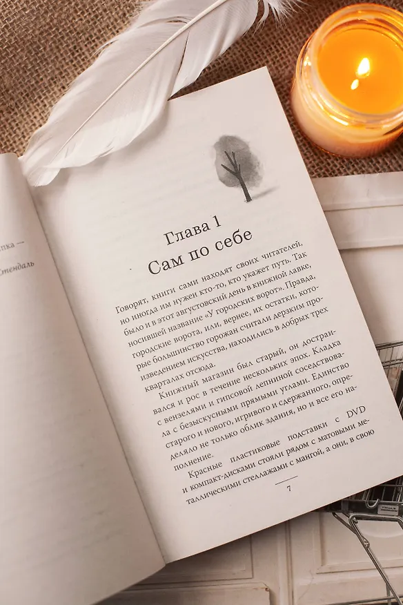 Книга Служба доставки книг. Легкий выбор (Карстен Себастиан Хенн) — 11