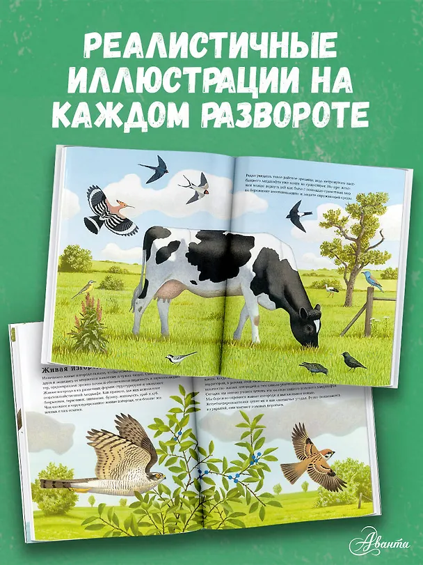 Книга Животные рядом с нами (Томас Мюллер) — 6
