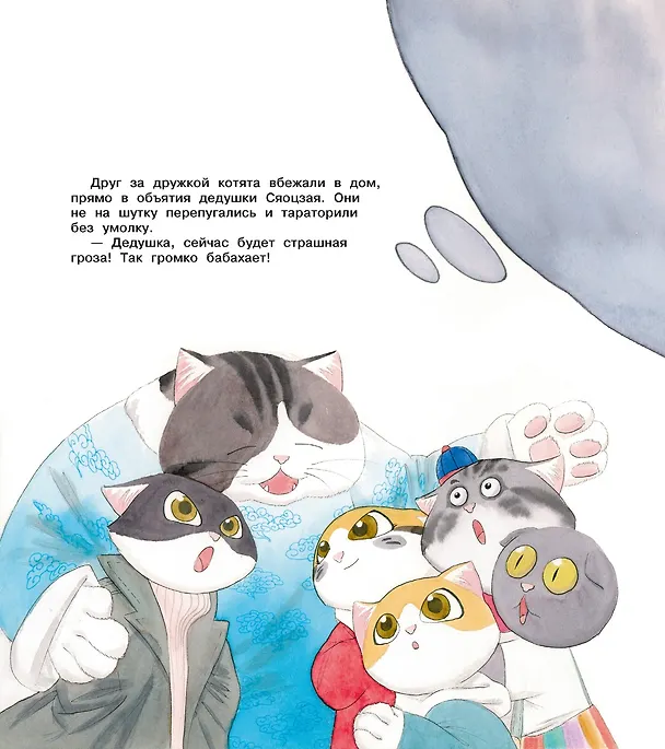 Книга Коты Запретного города. Книга 3. Гром с небес (Фанкуай Хун) — 13