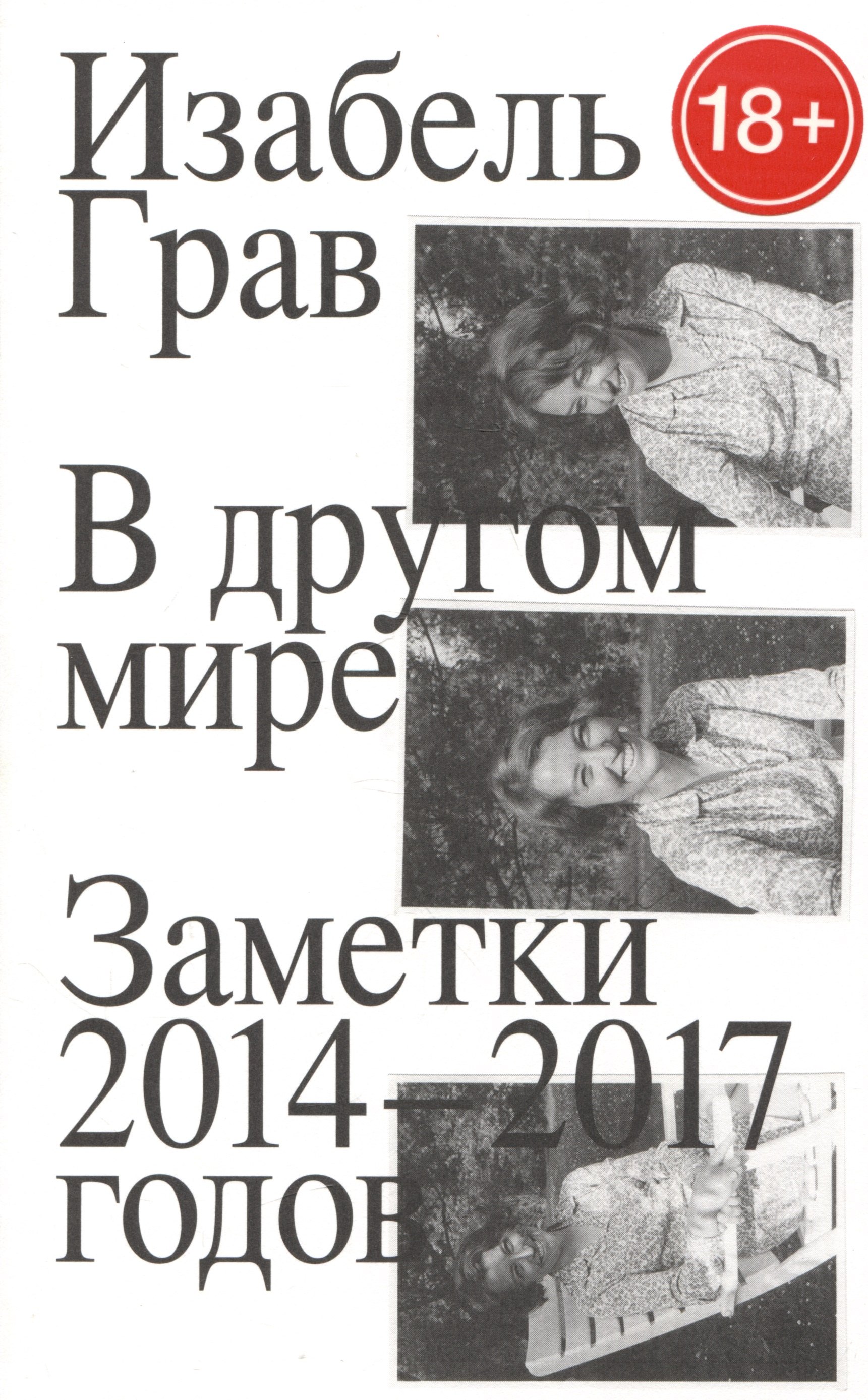 

В другом мире. Заметки 2014–2017 годов
