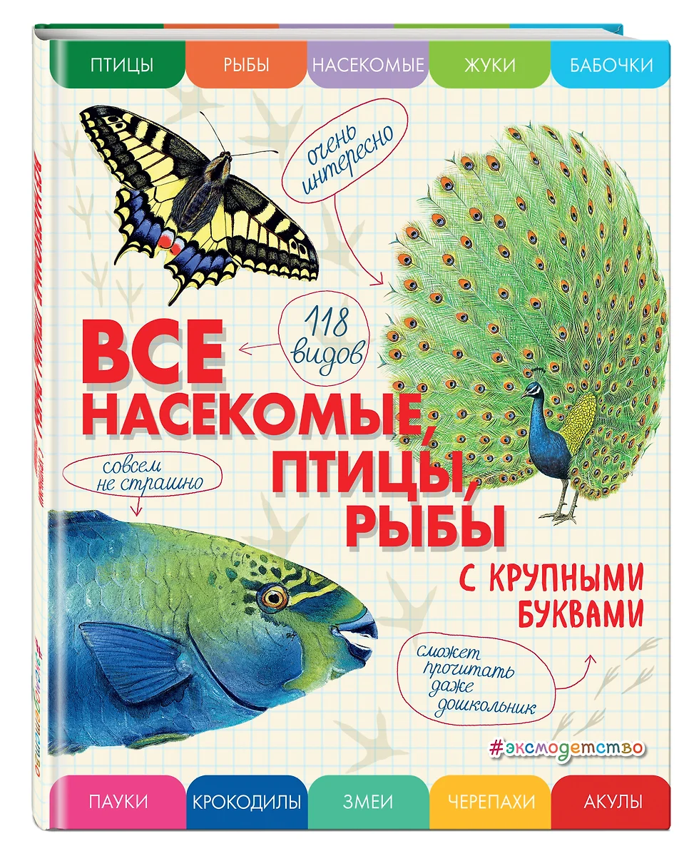 Все насекомые, птицы, рыбы с крупными буквами (Елена Ананьева) - купить  книгу с доставкой в интернет-магазине «Читай-город». ISBN: 978-5-04-165862-5