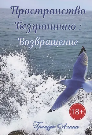 Книга Пространство безгранично: Возвращение (Алина Грищук)