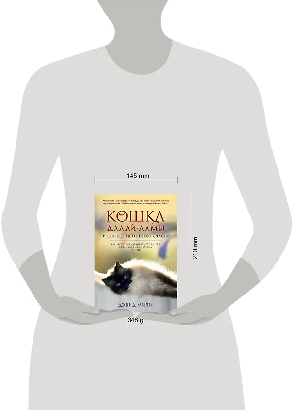 Книга Кошка Далай-Ламы и секреты истинного счастья (Дэвид Мичи) — 5
