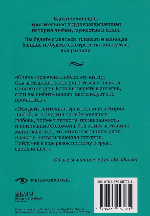 Книга История кота Соломона и Элен, которой было непросто (Шейла Джеффрис) — 2