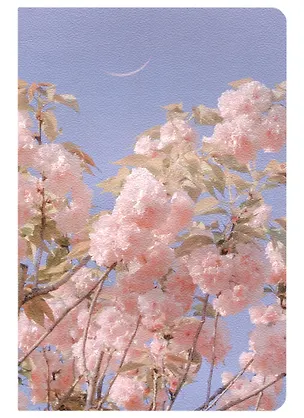 Тетрадь в клетку Kairui, Flower blossom, 32 листа, в ассортименте 2949177