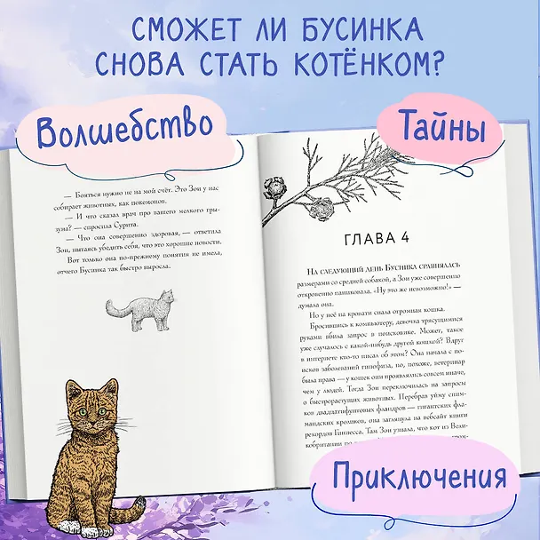 Книга Самая большая кошка на свете (Сара Бет Дёрст) — 8
