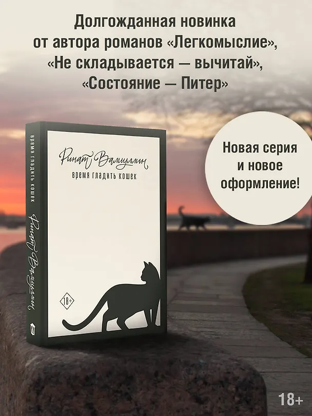 Книга Время гладить кошек (Ринат Валиуллин) — 4