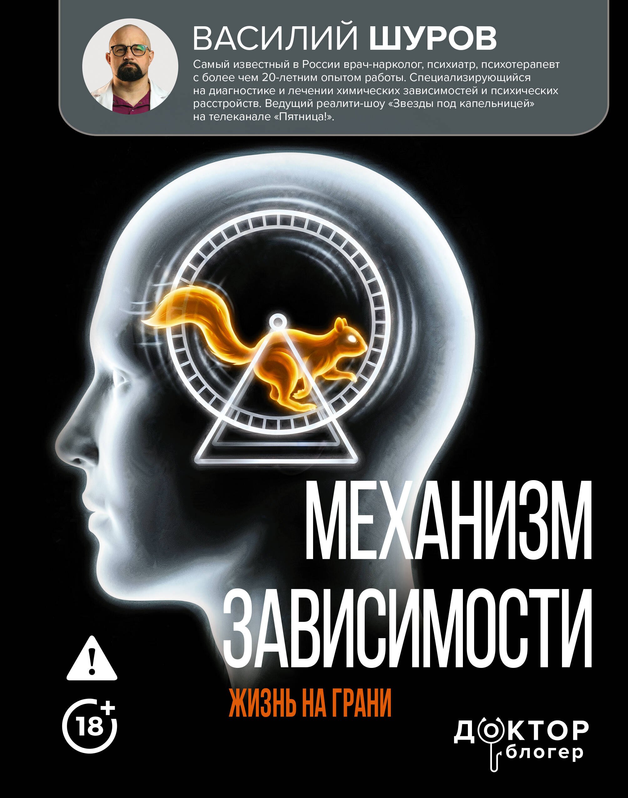 Шуров Василий Александрович Механизм зависимости. Жизнь на грани