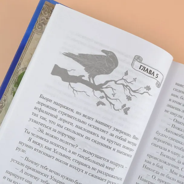 Книга Реннвинд. Проклятие дня (Леа Стенберг) — 12