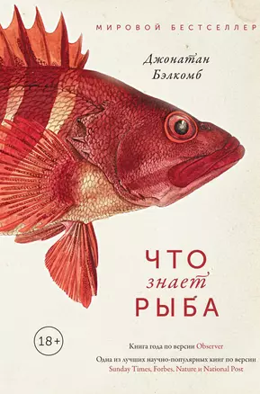 Что знает рыба. Внутренний мир наших подводных собратьев — 2738333 — 1