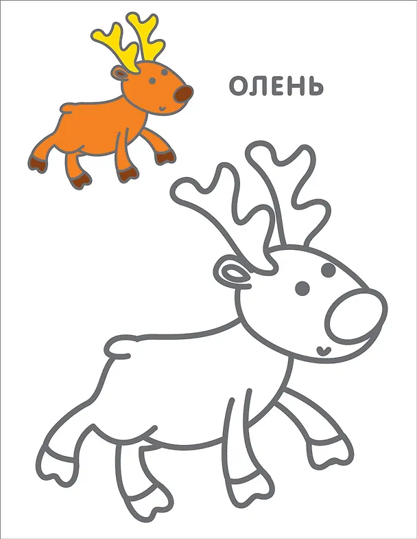 Книга Самые первые раскраски. 3+ () — 4