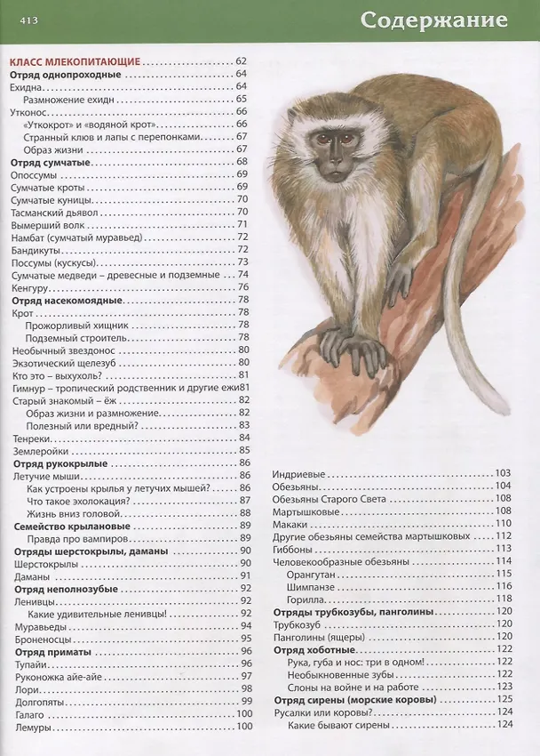 Книга Первая энциклопедия животных для маленьких почемучек (Тамара Скиба) — 3