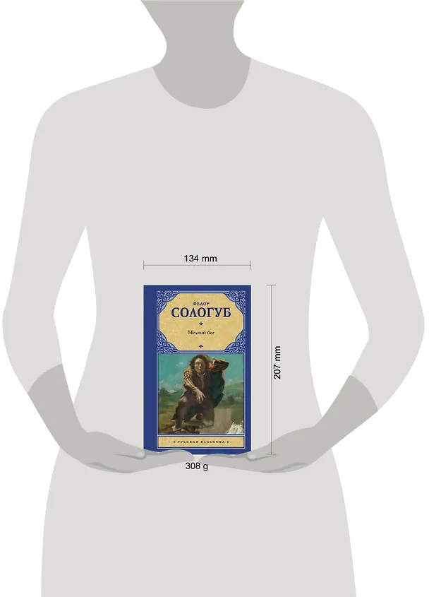 Книга Мелкий бес (Федор Сологуб) — 4