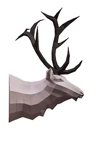 Набор для сборки полигональных фигур: Лось (Белый)