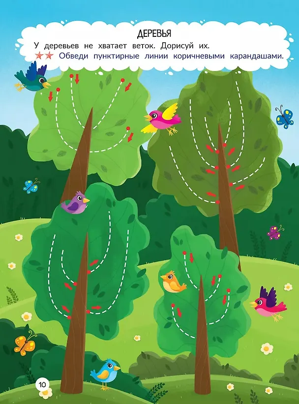 Книга Лес: книжка-раскраска (Анастасия Сунцова) — 2