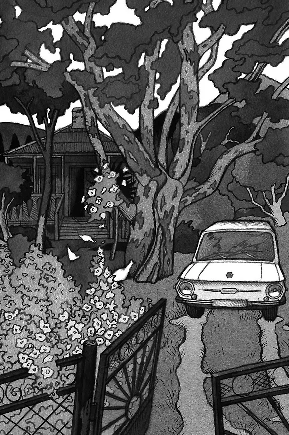 Книга Брат мой Бзоу (Евгений Рудашевский) — 6