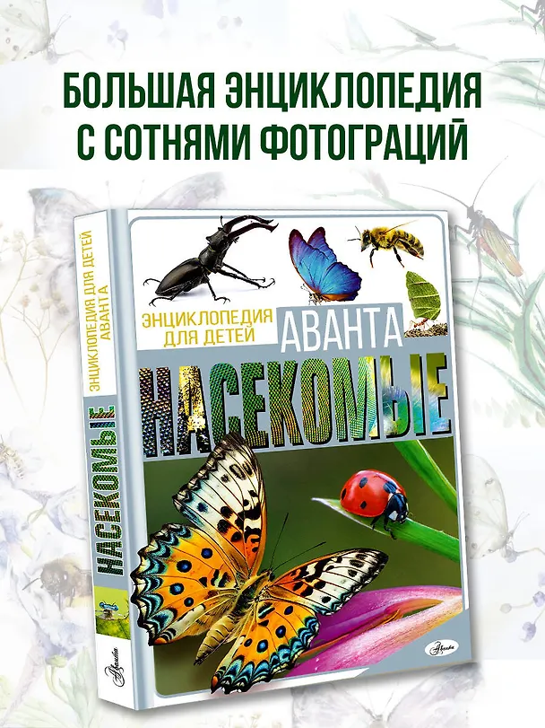 Книга Насекомые (Игорь Резько, Анна Спектор) — 5
