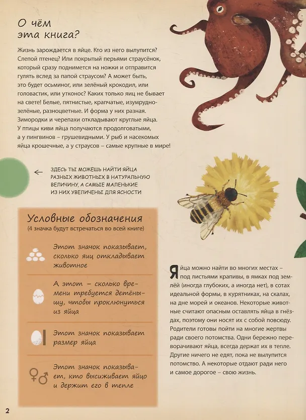 Книга Кто появляется на свет из яйца? (Маркета Новакова) — 2