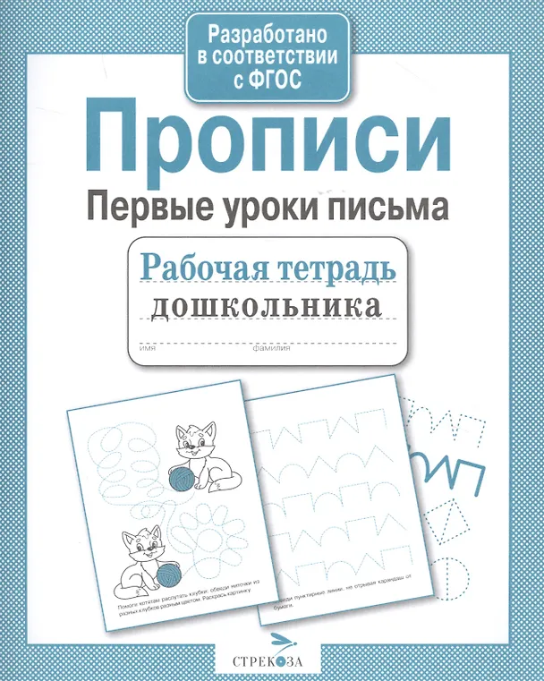 Книга Прописи. Первые уроки письма (А.И. Артюх) — 4
