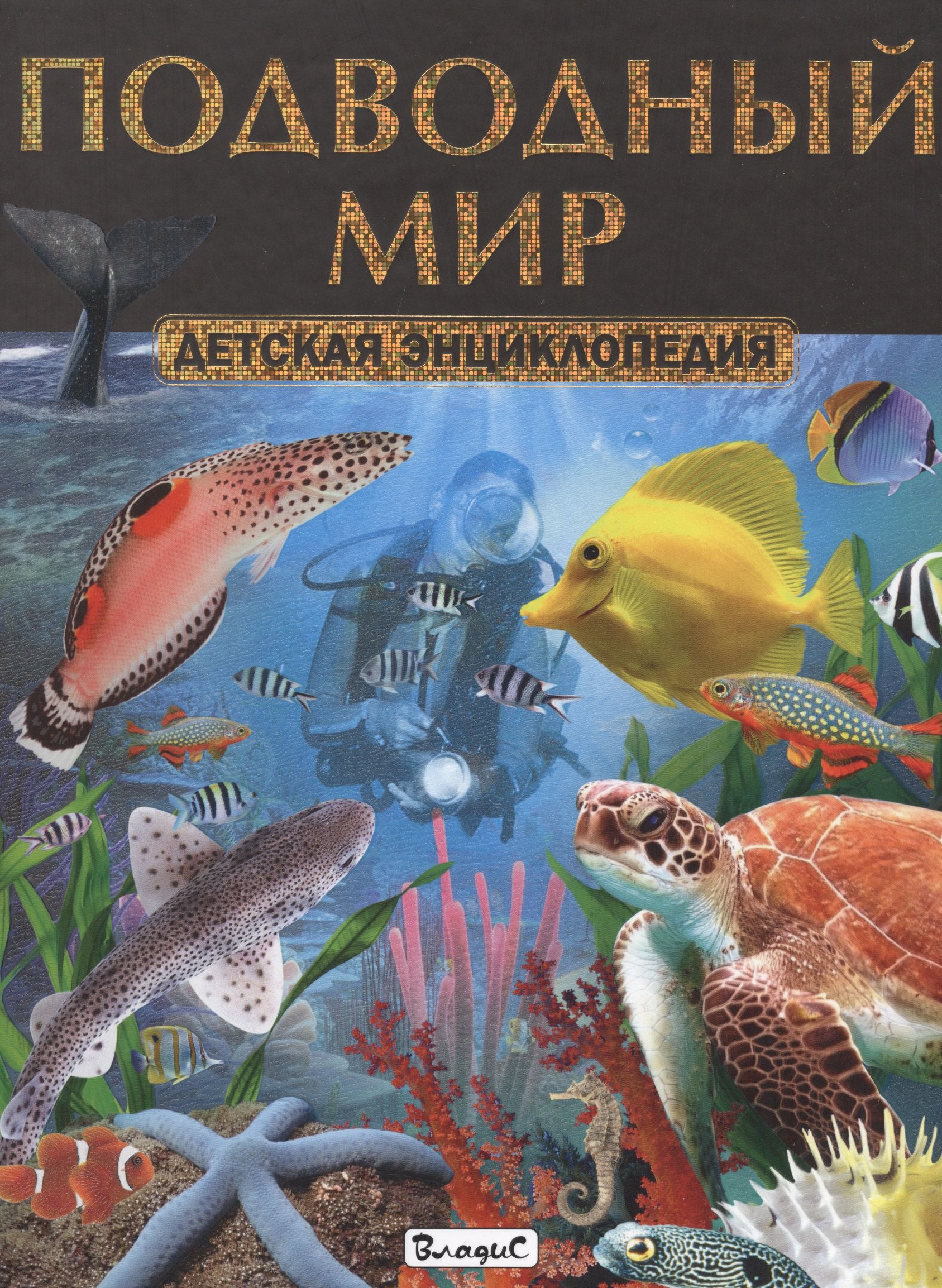 

Подводный мир. Детская энциклопедия