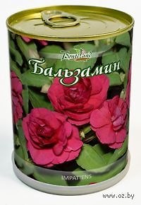 Цветок в банке "Бальзамин" (410503) 2371567 — 1