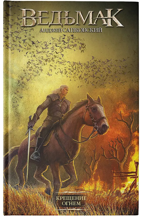 Книга Крещение огнем (Анджей Сапковский) — 8