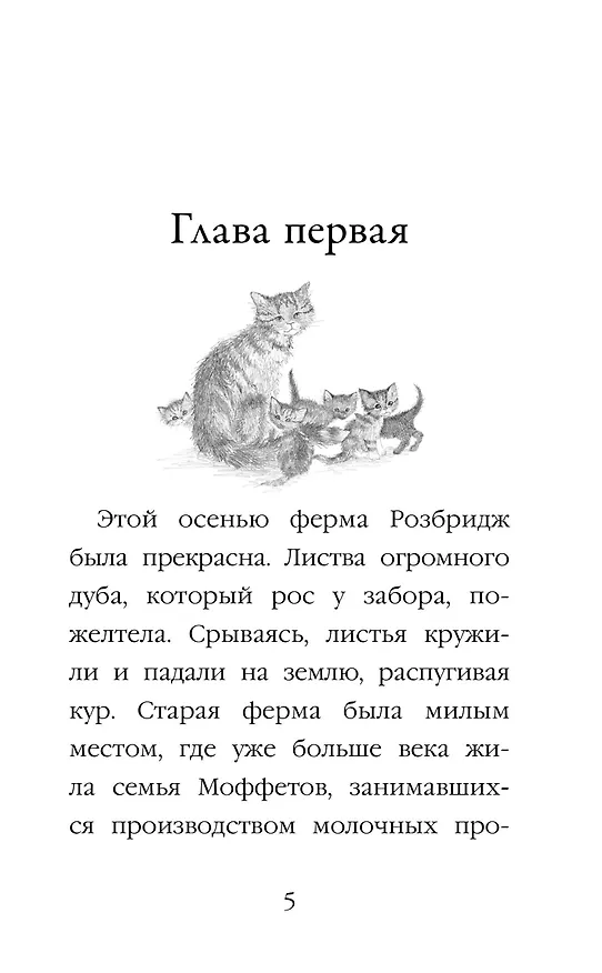 Книга Котёнок Пушинка, или Рождественское чудо: повесть (Холли Вебб) — 7