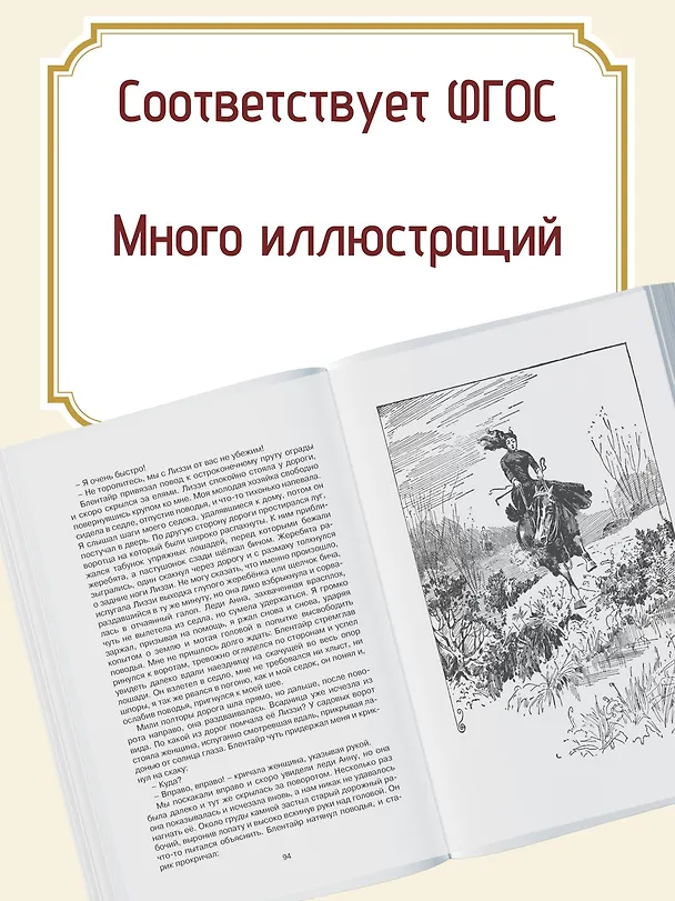 Книга Чёрный Красавчик (Анна Сьюэлл) — 4