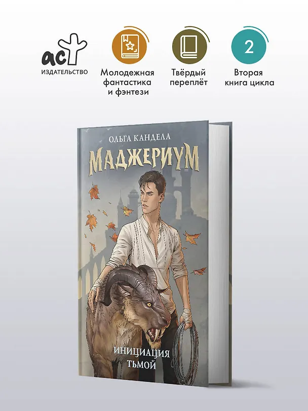 Книга Маджериум. Инициация тьмой (Ольга Кандела) — 4