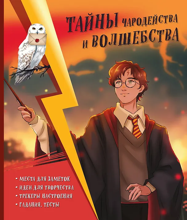 Книга Тайны чародейства и волшебства. Книга творчества и вдохновения (Гарри) () — 1