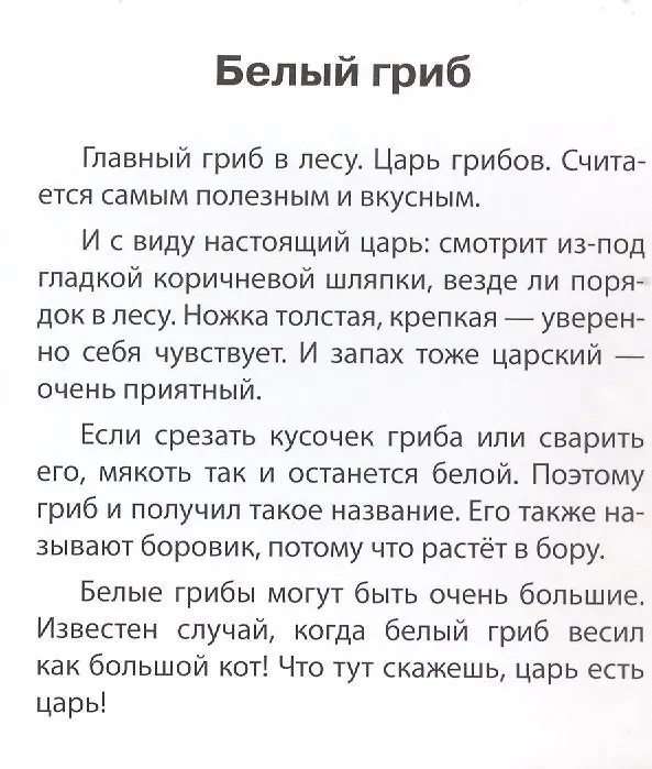 Книга Грибы наших лесов. Карточки для детей с подсказками для взрослых (Татьяна Тимофеева) — 4