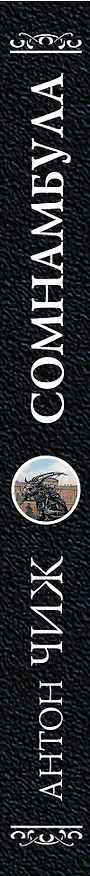 Книга Сомнамбула (Антон Чиж) — 3