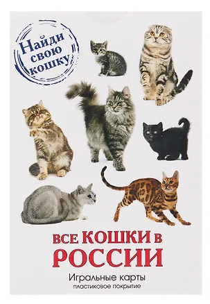Карты сувенирные "Все кошки в России" 2596769