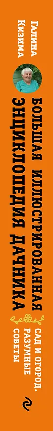 Книга Большая иллюстрированная энциклопедия дачника. Сад и огород. Разумные советы (оф. 1) (Галина Кизима) — 3