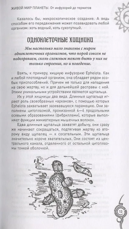 Книга Живой мир планеты. От инфузорий до термитов (Анатолий Бернацкий) — 4