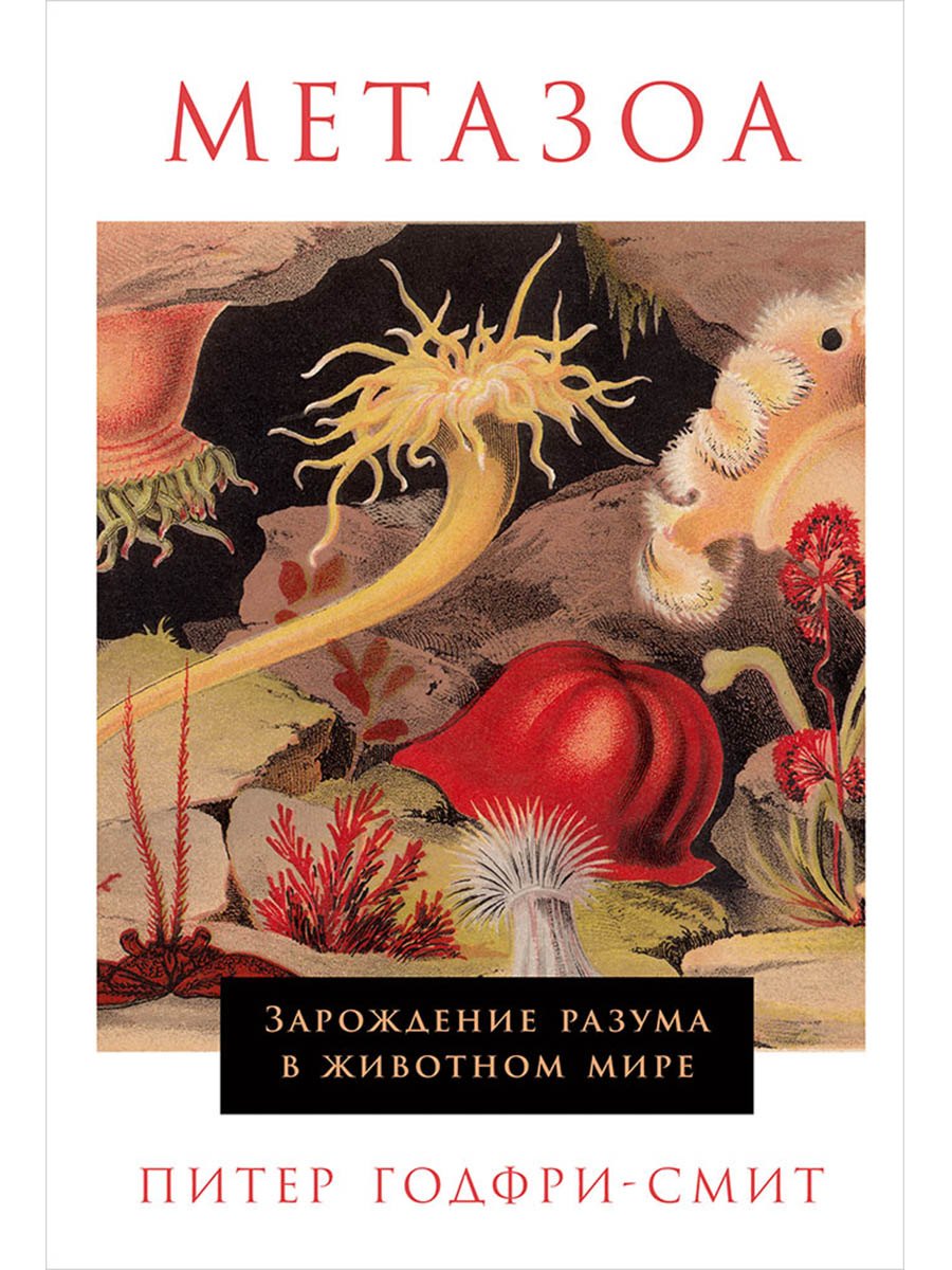 

Метазоа: Зарождение разума в животном мире
