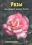 Розы для Средней полосы России — 2426327 — 1