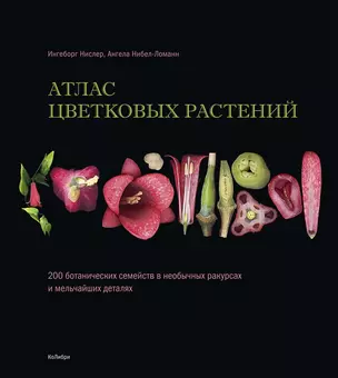 Атлас цветковых растений. 200 ботанических семейств в необычных ракурсах и мельчайших деталях — 2766943 — 1