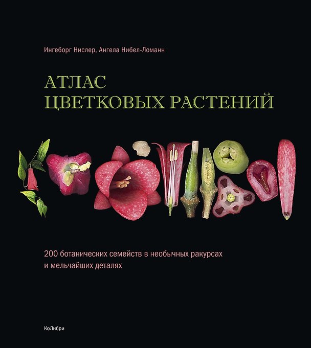 Книга Атлас цветковых растений. 200 ботанических семейств в необычных ракурсах и мельчайших деталях (Ингеборг Нислер, Ангела Нибел-Ломанн) — 1