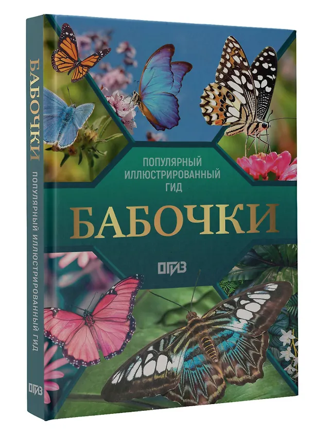 Книга Бабочки. Иллюстрированный гид (Анна Спектор) — 4