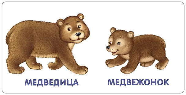 Книга Книжки-картонки. Животные и детеныши () — 2