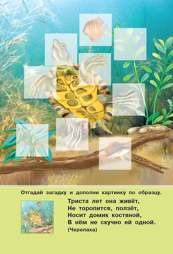 Книга Веселые зверята (Екатерина Гайдель) — 4