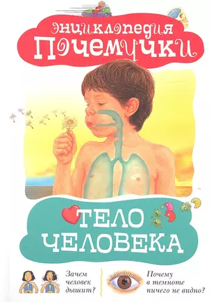 Тело человека — 2310878 — 1