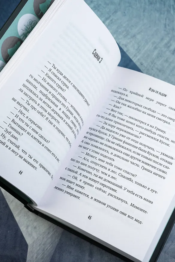 Книга Игры со льдом (Ринат Валиуллин) — 10