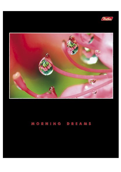 Тетрадь общая «Morning dreams», 80 листов в клетку, А5, в ассортименте - Hatber 218809 — 1